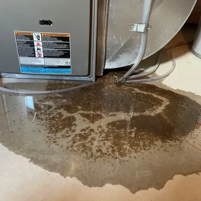 Appliance Leak Cleanup in North Haven, CT